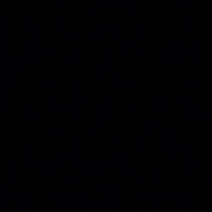 Meet your Posher, Hailey